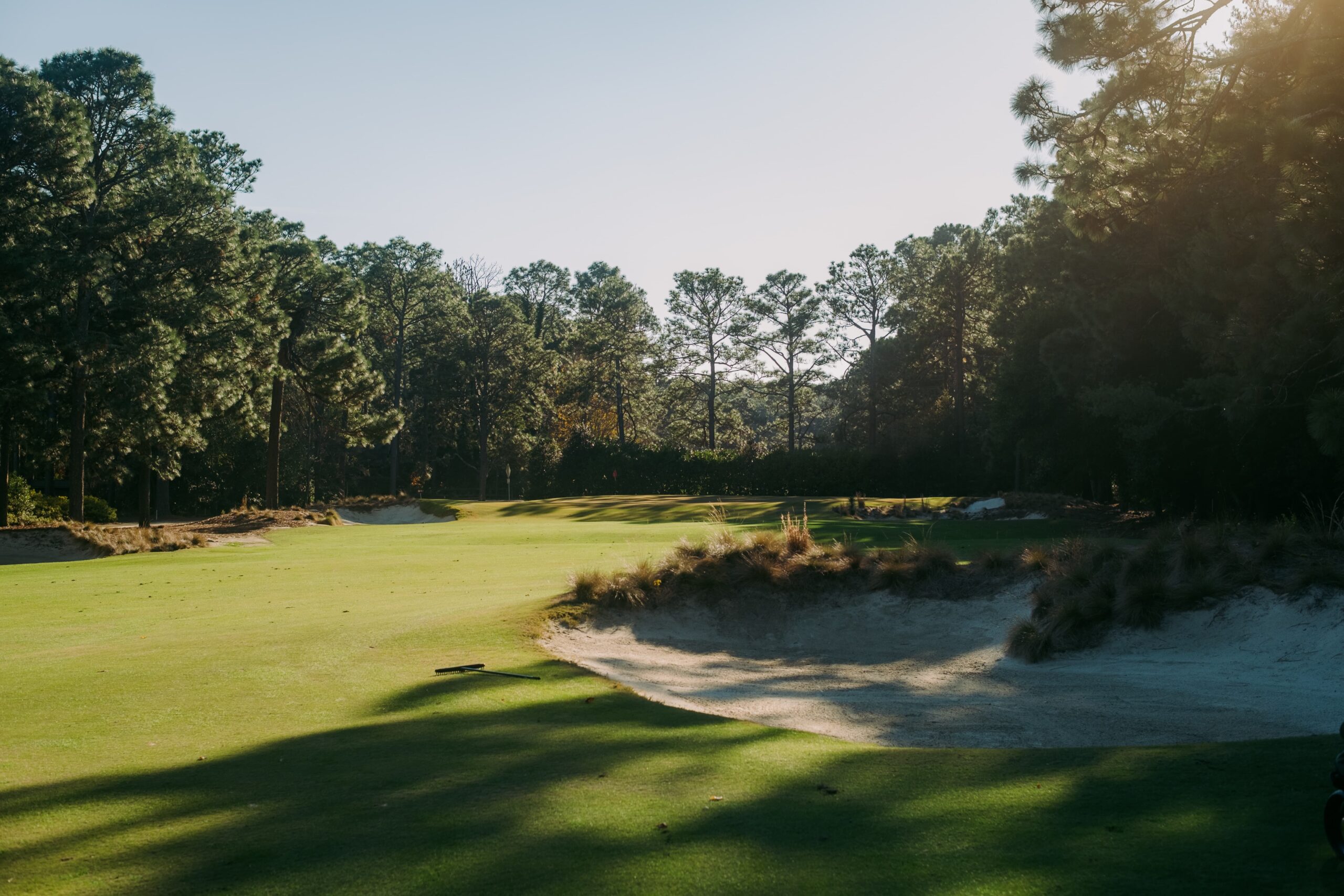 The Course