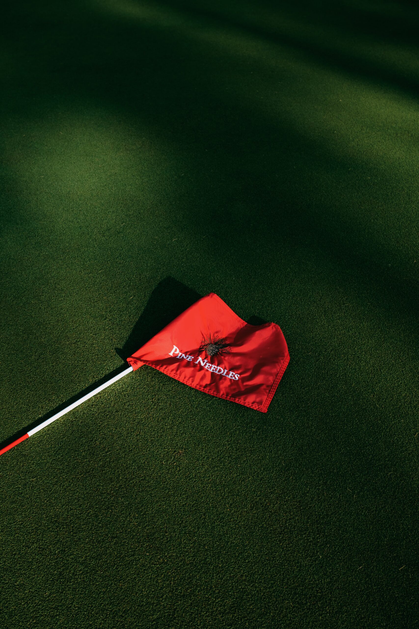 A red golf flag with the text 'Pine Needles' lies on a green golf course surface. The flag is positioned on a white pole, and the area appears to be shaded with soft lighting.