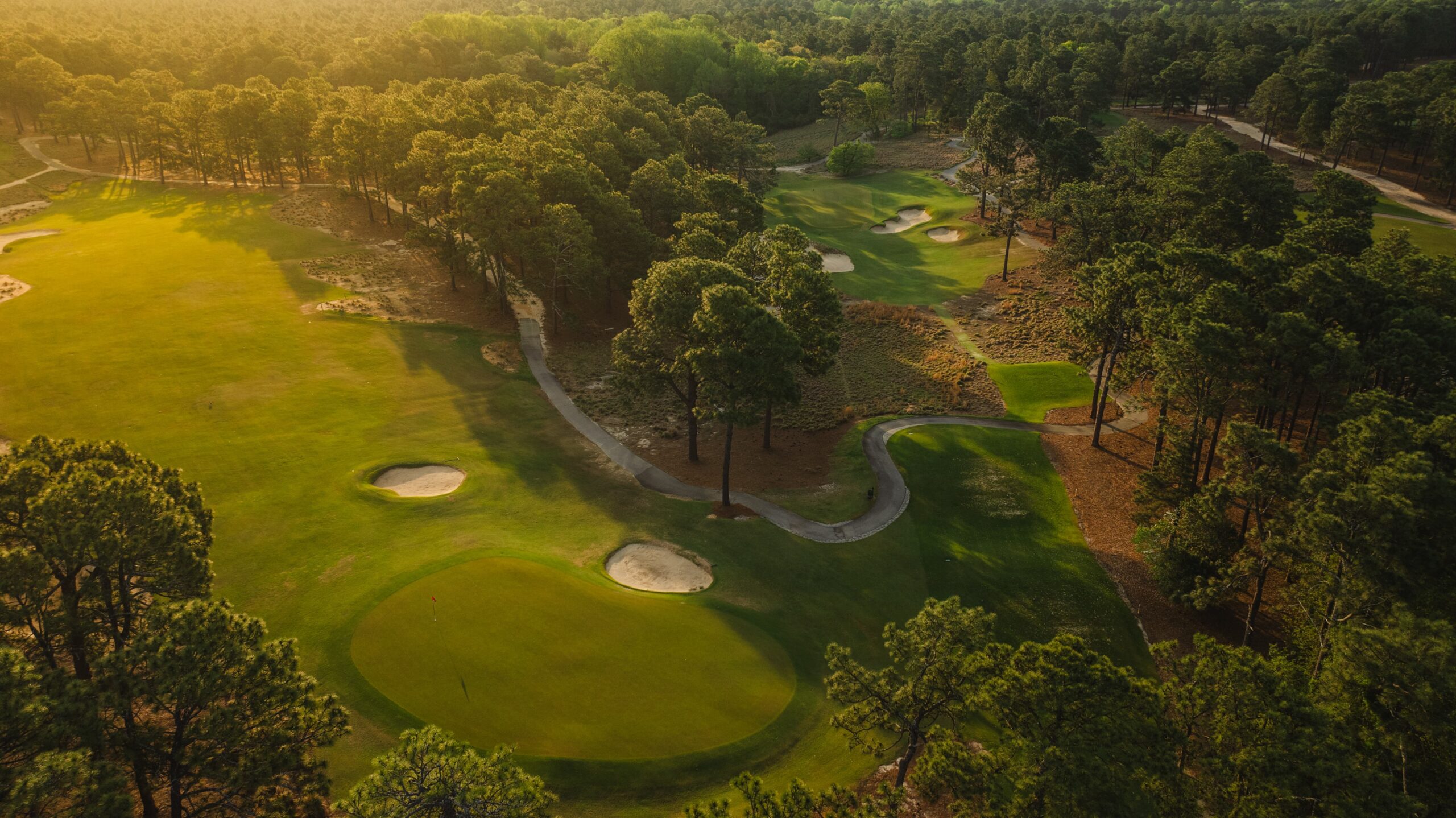Pine Needles Golf